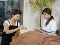 tokyo3Lash Eyelash Academy